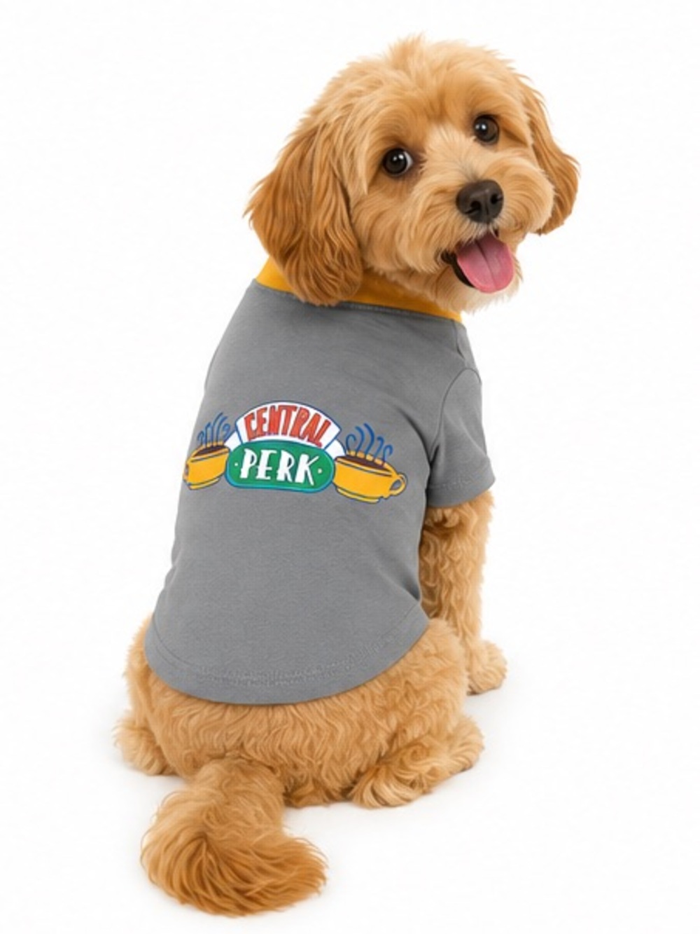 NEW - Friends “Central Perk” Dog Pet T-Shirt Gray Yellow Size Medium M